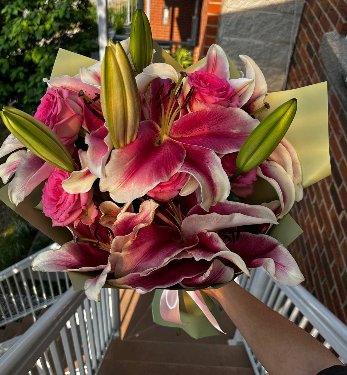Lily & Rose Harmony