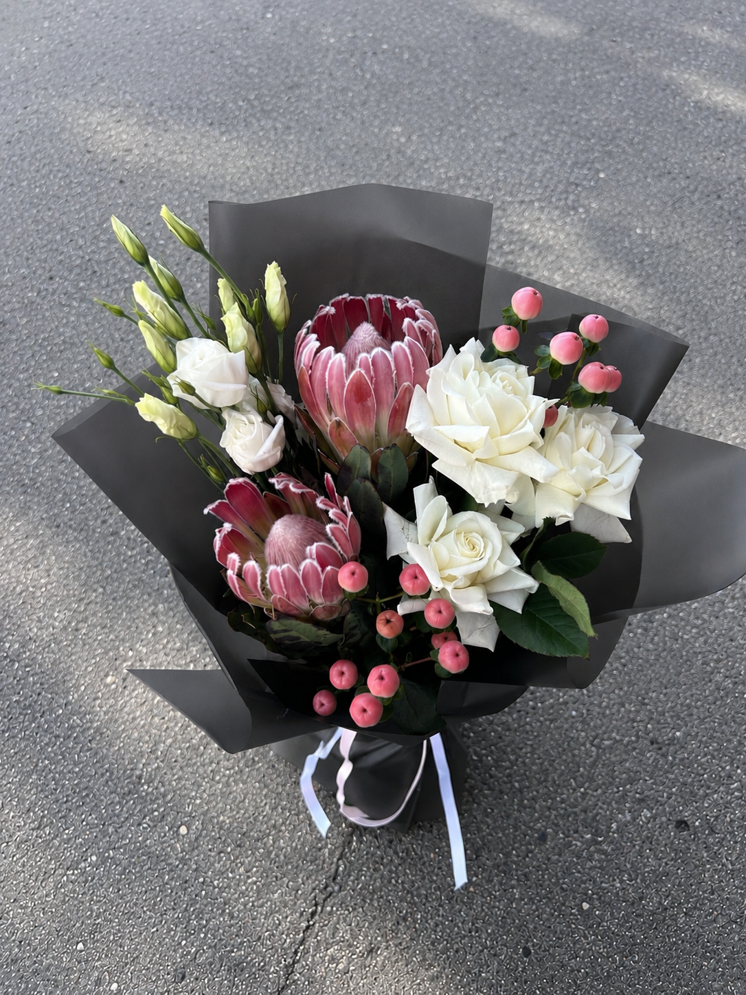 Royal Protea