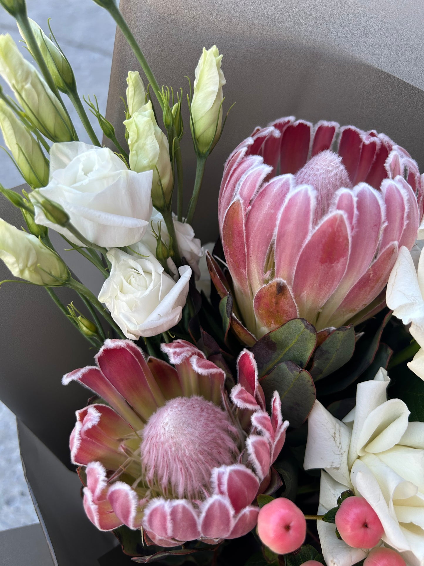 Royal Protea