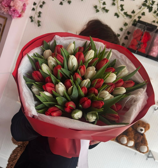50 Red & White Tulips
