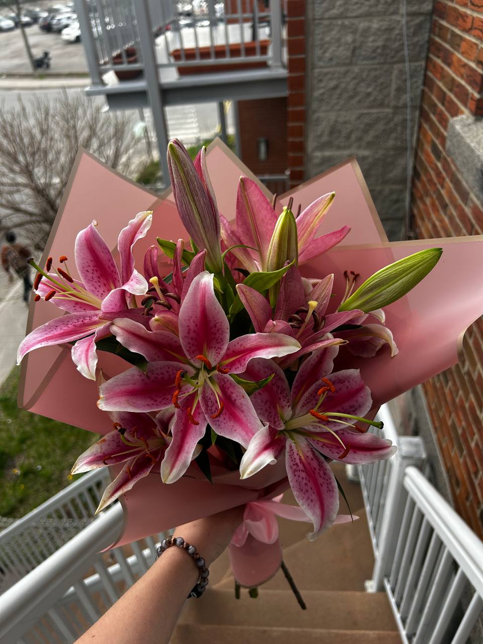 Pink Elegance Lilies